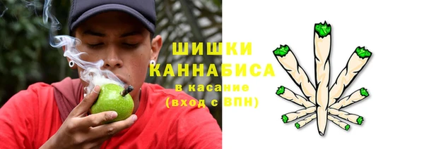 прущие грибы Верхнеуральск