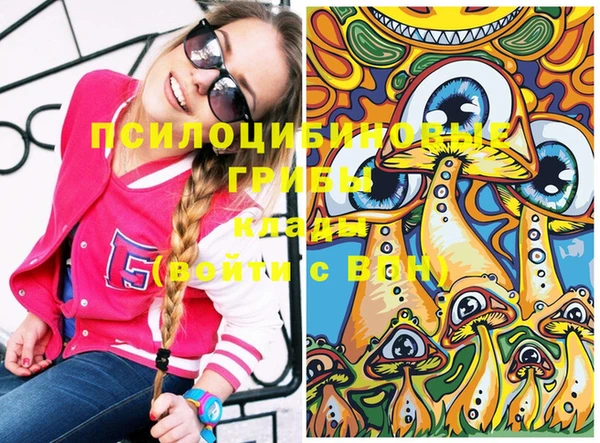 прущие грибы Верхнеуральск