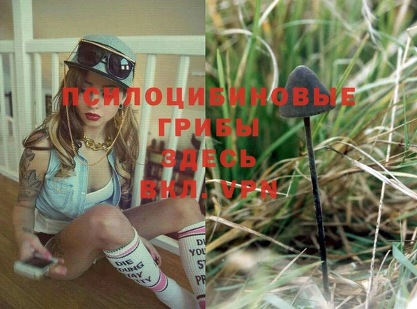 метадон Верея