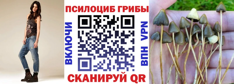 купить   Галич  даркнет как зайти  Псилоцибиновые грибы ЛСД 
